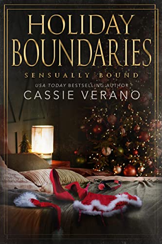 Holiday Boundaries book cover