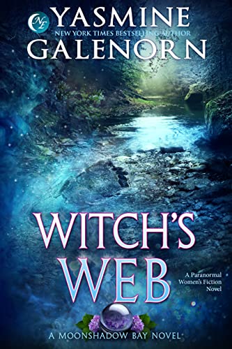 Witch's Web book cover