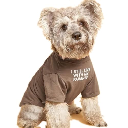Cute Dog Clothes,Dog T Shirt for Medium Dogs.Dog Clothes for Small Dogs Girl Boy,Puppy.Breathable Soft Dog Costume Pet Dogs Cats,Pet Pullover Jumper,Cat Clothes (S-(4~8lb), Chest~14", Khaki)