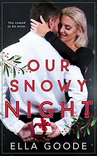 Our Snowy Night cover