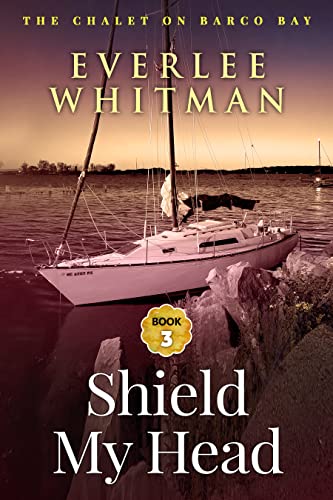Shield My Head book cover