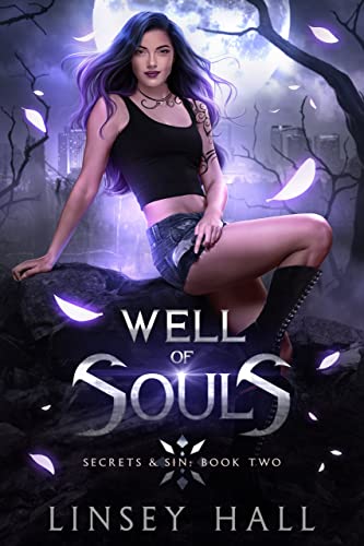 Well of Souls book cover