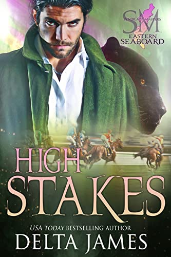 High Stakes book cover