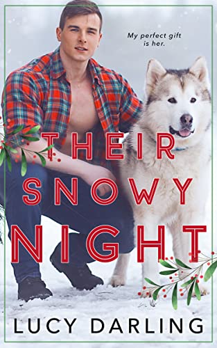 Their Snowy Night book cover