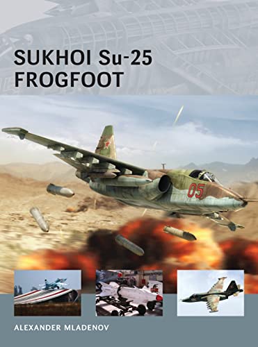 Sukhoi Su-25 Frogfoot (By: Alexander Mladenov) cover