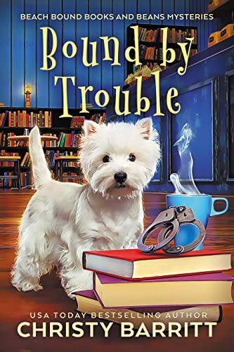 Bound by Trouble book cover