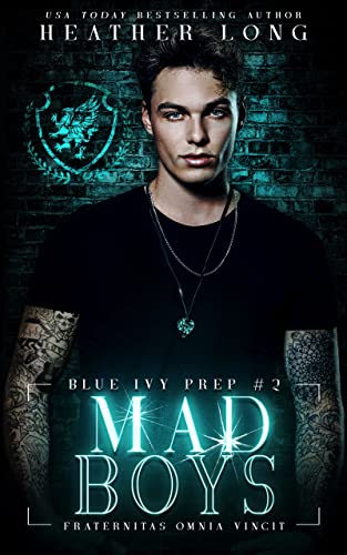Mad Boys book cover