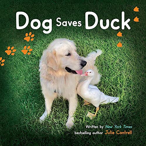 Dog Saves Duck book cover