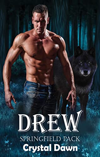 Drew book cover