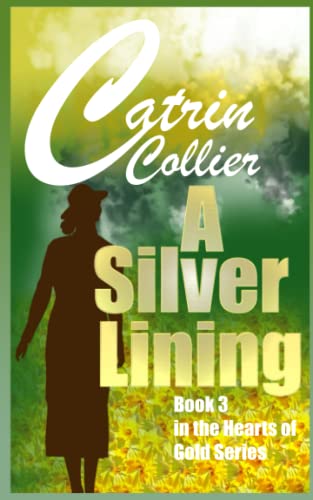 A Silver Lining book cover