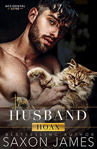 The Husband Hoax book cover