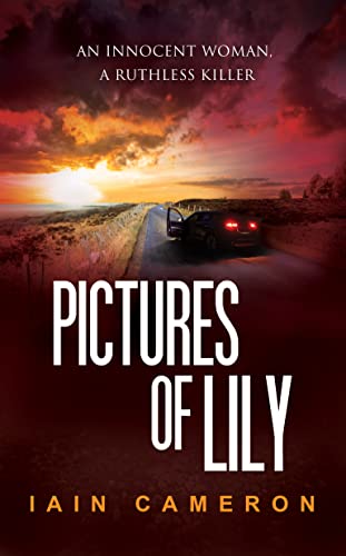 Pictures of Lily cover