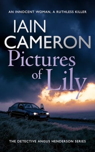 Pictures of Lily book cover