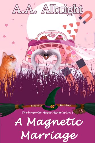 A Magnetic Marriage book cover