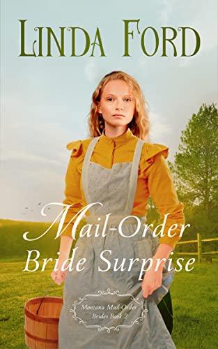 Mail-Order Bride Surprise book cover
