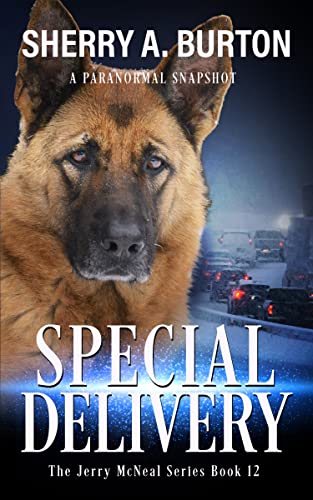 Special Delivery book cover