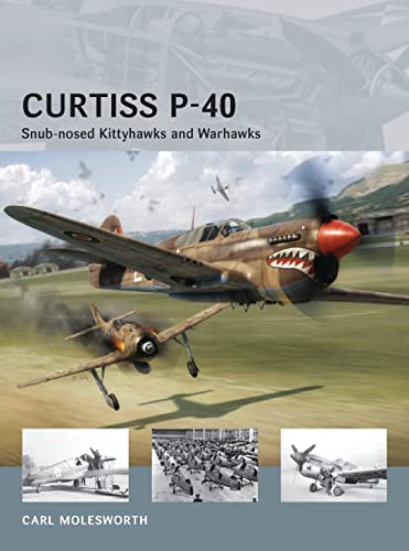 Curtiss P-40 book cover