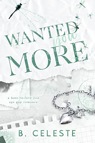 Wanted You More book cover