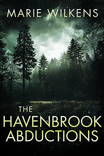 The Havenbrook Abductions cover