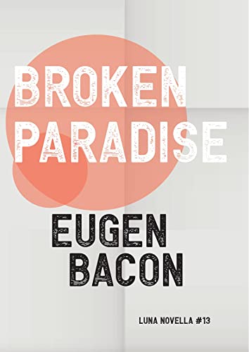 Broken Paradise book cover