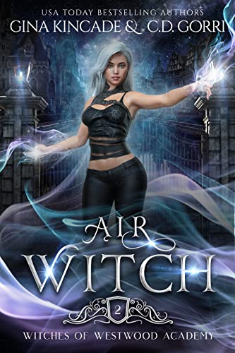 Air Witch book cover