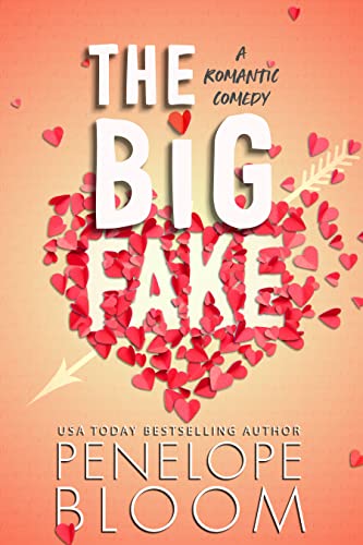 The Big Fake book cover