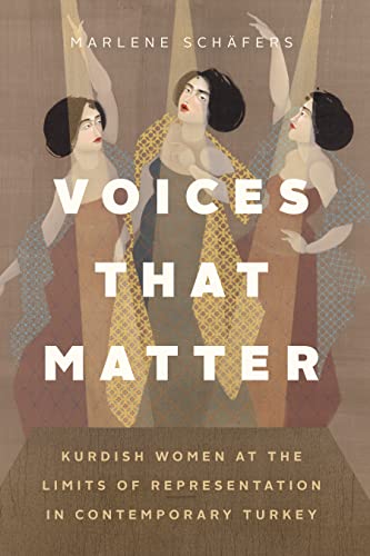 Voices That Matter book cover