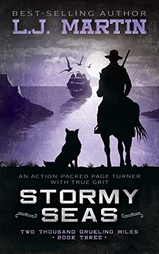 Stormy Seas book cover
