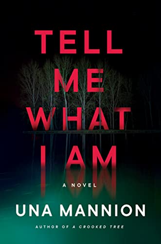 Tell Me What I Am book cover