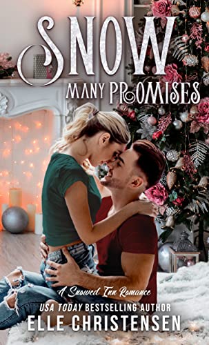 Snow Many Promises book cover
