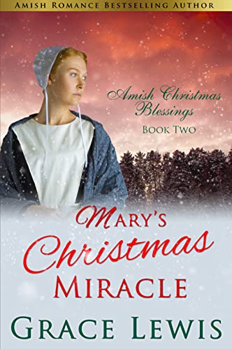 Mary's Christmas Miracle book cover