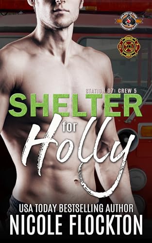 Shelter for Holly book cover