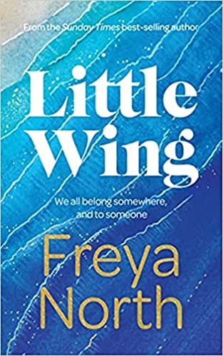 Little Wing book cover