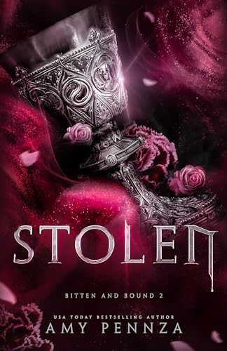 Stolen book cover