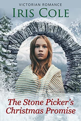 The Stone Picker's Christmas Promise book cover