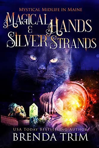 Magical Hands & Silver Strands book cover