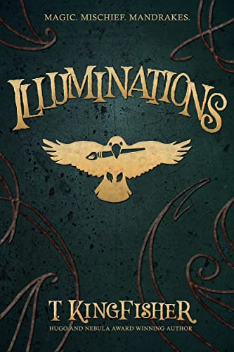 Illuminations book cover