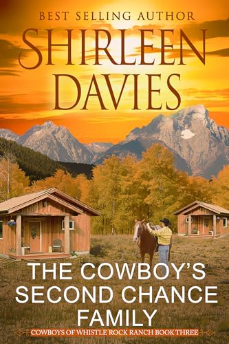 The Cowboy's Second Chance Family book cover