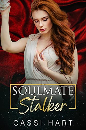 Soulmate Stalker book cover