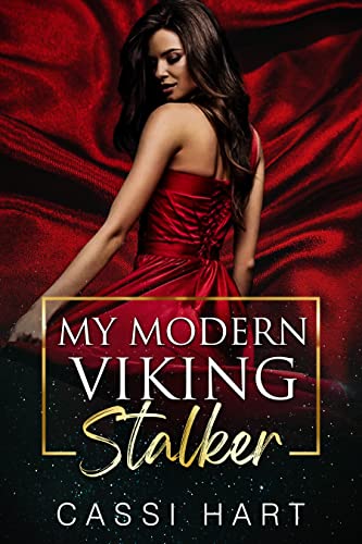 My Modern Viking Stalker book cover