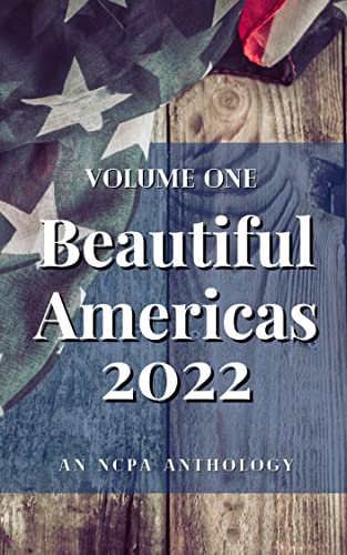 Beautiful Americas: Volume One cover