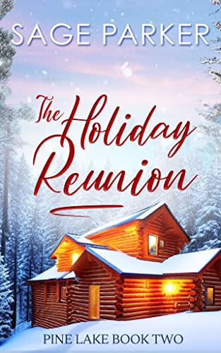 The Holiday Reunion 2 book cover