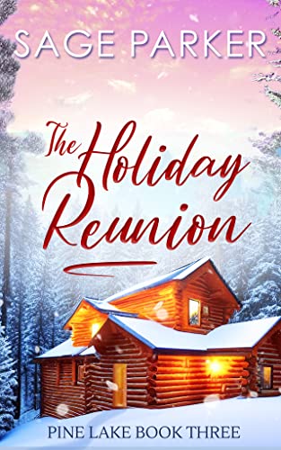 The Holiday Reunion 3 book cover