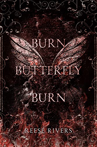 Burn Butterfly Burn book cover