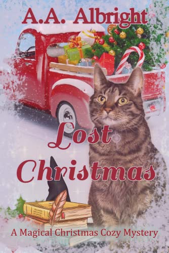 Lost Christmas book cover