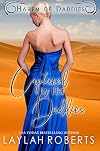 Captured by her Daddies (Harem of Daddies Book 4)
