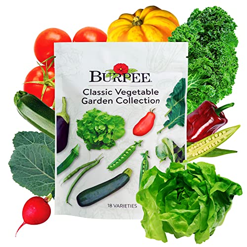 Burpee Heirloom Garden Starter Pack Excellent Value Start your new hobby with your very own