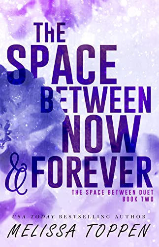 The Space Between Now & Forever book cover