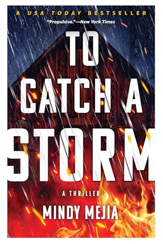 To Catch a Storm book cover