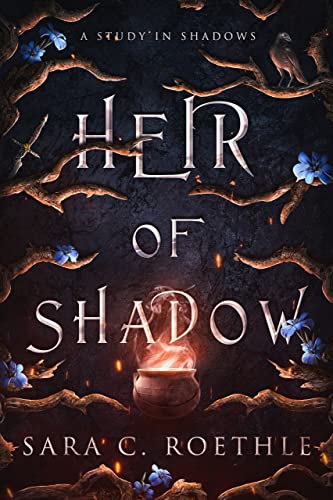 Heir of Shadow book cover